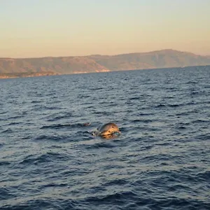https://casa-pierina.in-sardinia.net